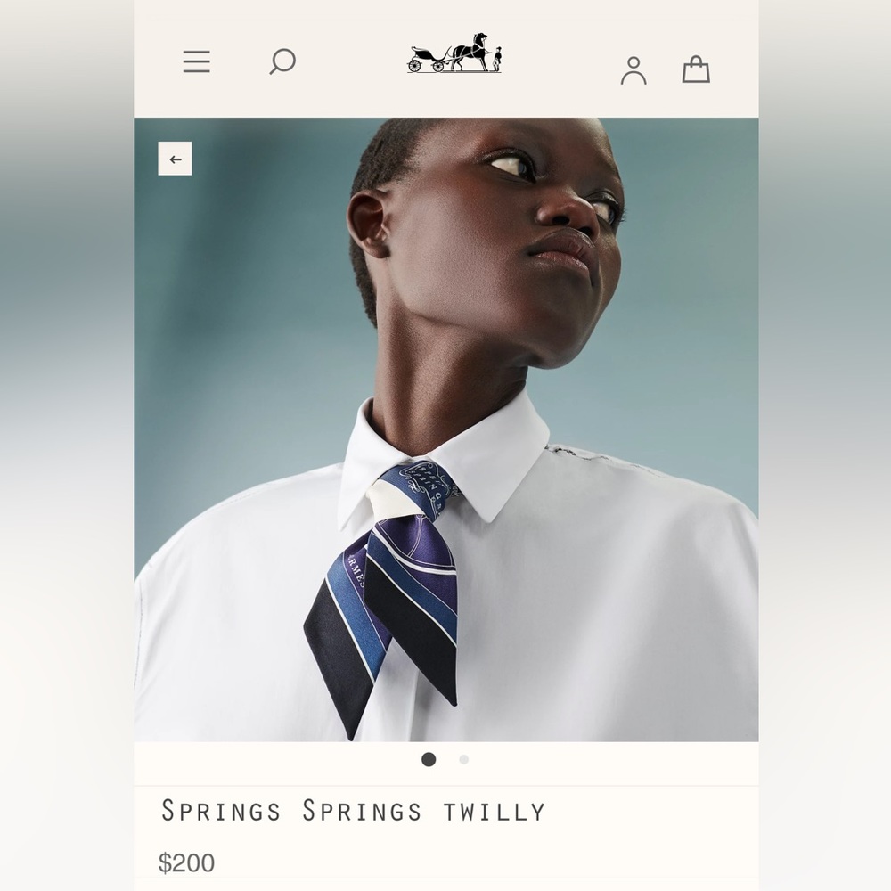 Hermes Springs Springs twilly